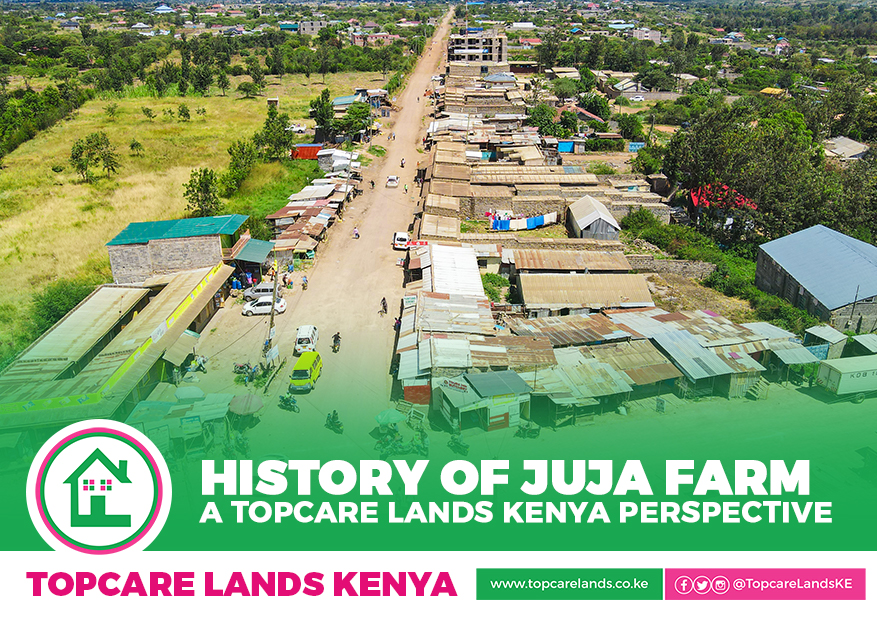 HISTORY OF JUJA FARM, A TOPCARE LANDS KENYA PERSPECTIVE